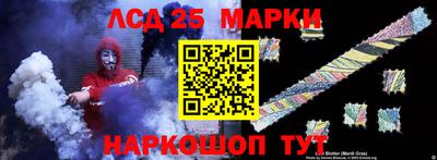 стаф Гатчина