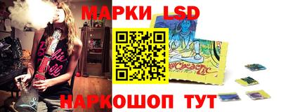 стаф Гатчина