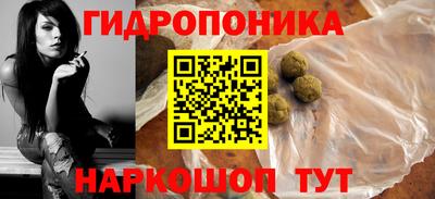стаф Гатчина