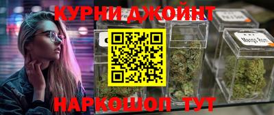 стаф Гатчина