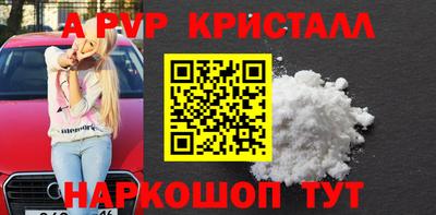 стаф Гатчина
