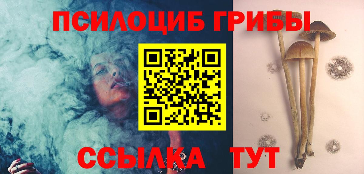 Галлюциногенные грибы Psilocybe  Вход с VPN  Нижнекамск 